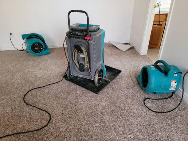 Best Water damage contractors near me  in Pike Road, AL
