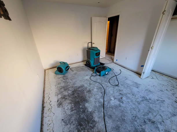 Best Sewage cleanup and water damage restoration  in Pike Road, AL