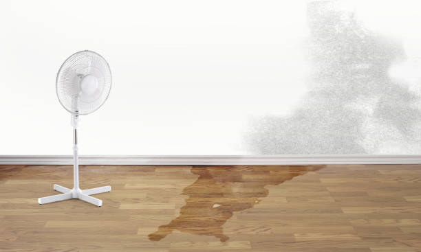 Best Emergency water damage restoration  in Pike Road, AL