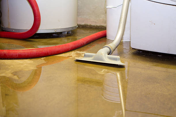 Best Water damage restoration near me  in Pike Road, AL