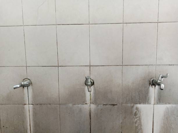 Best Basement water damage restoration  in Pike Road, AL