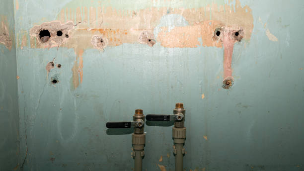 Best Local water damage restoration  in Pike Road, AL