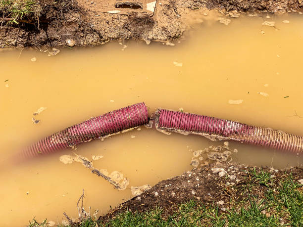 Best Professional water damage repair  in Pike Road, AL