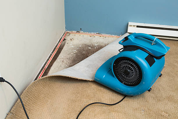 Best Carpet water damage restoration  in Pike Road, AL
